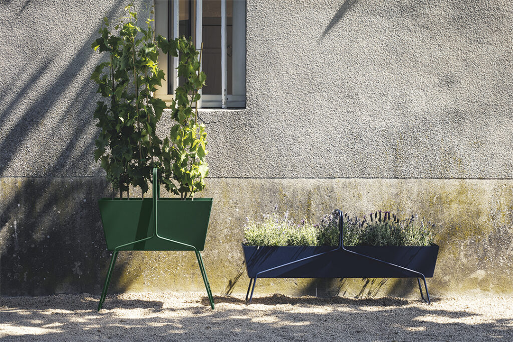 BASKET_AVERT_CEDRE_VIGNES_VISUEL2019_JEROME_GALLAND